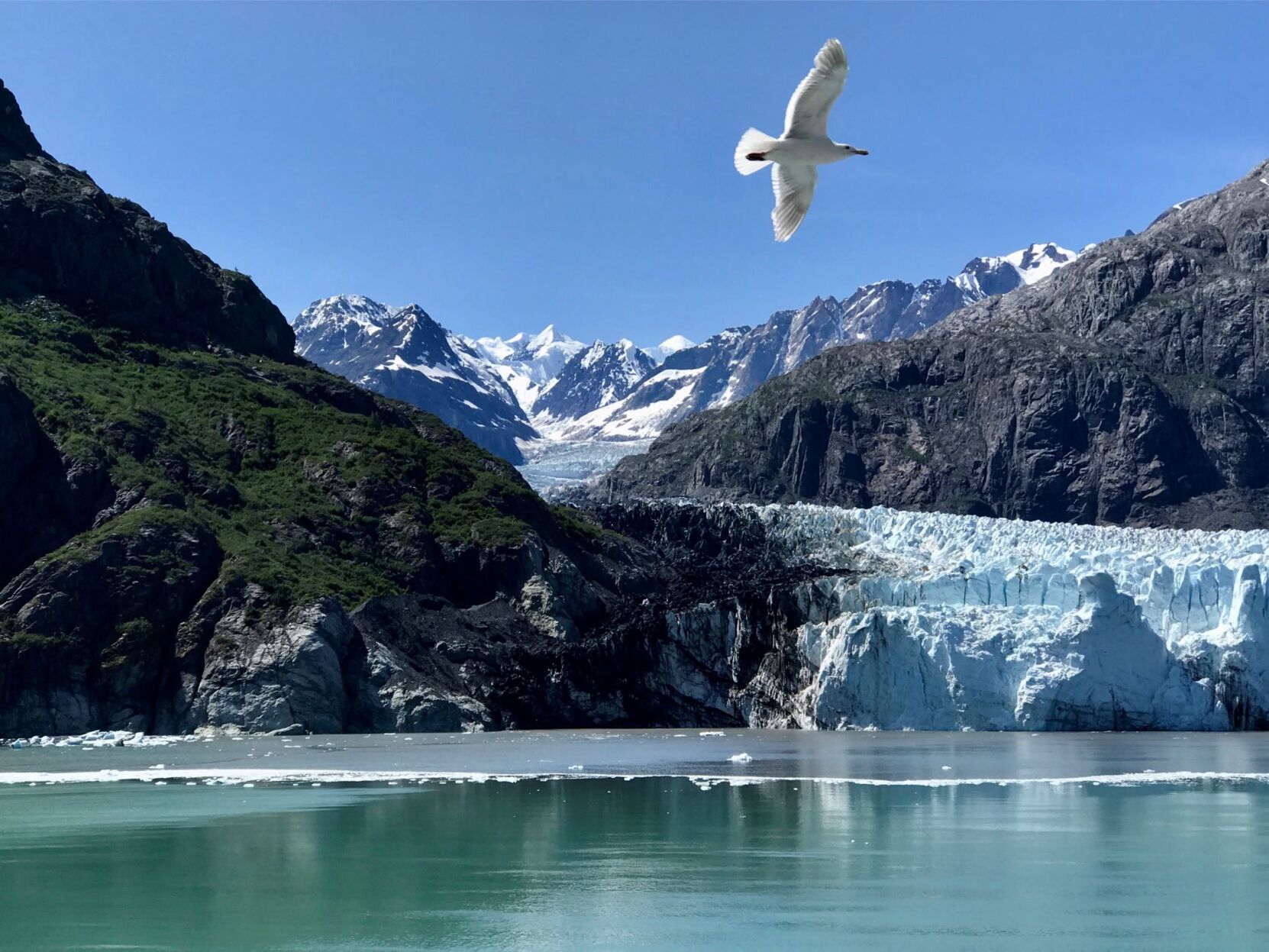 Glacier Bay, Alaska